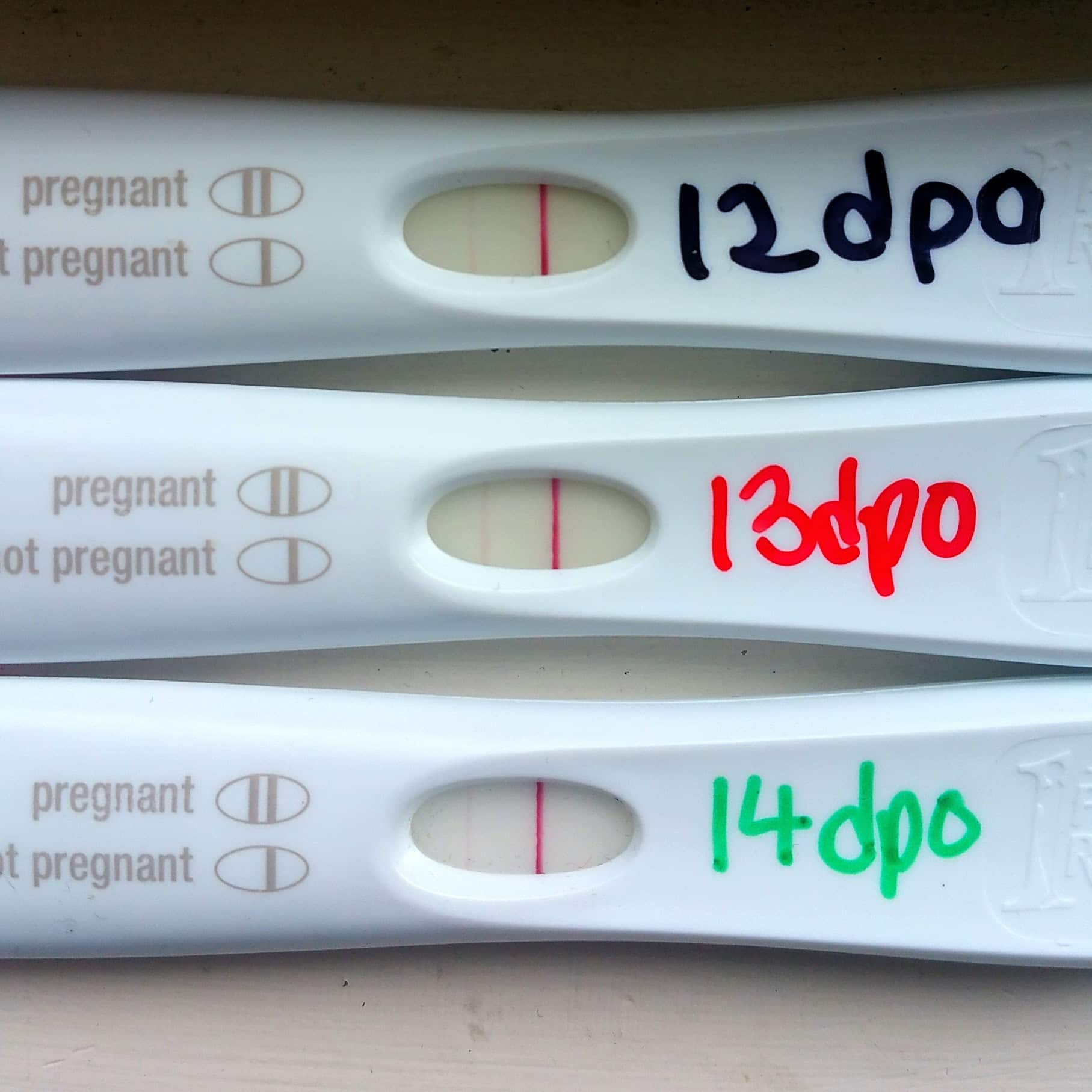 11 Dpo Negative Pregnancy Test Could I Still Be Pregnant