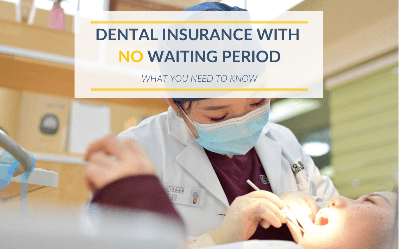 Best Dental Health Insurance No Waiting Period : How to ...