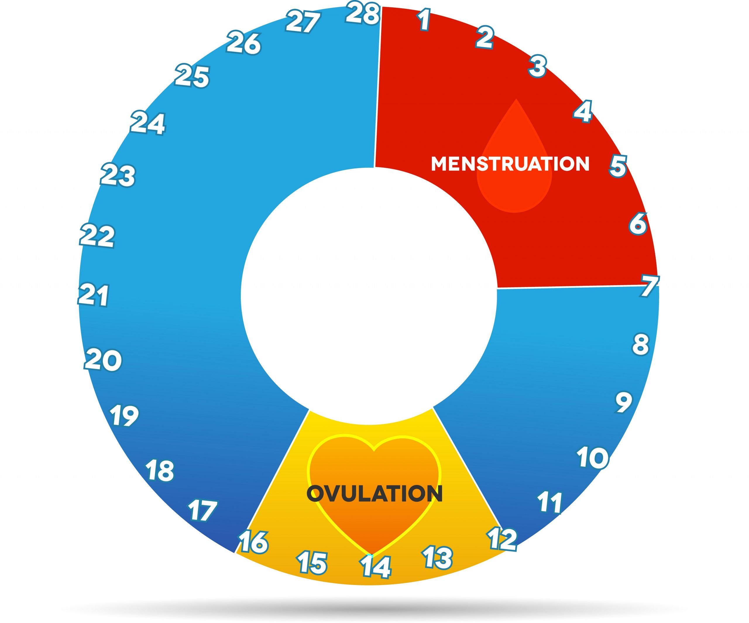 Bloating, Breast Tenderness or Cramps During Ovulation ...