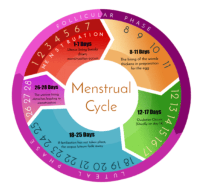 Common Causes of Irregular or Anovulatory Cycles