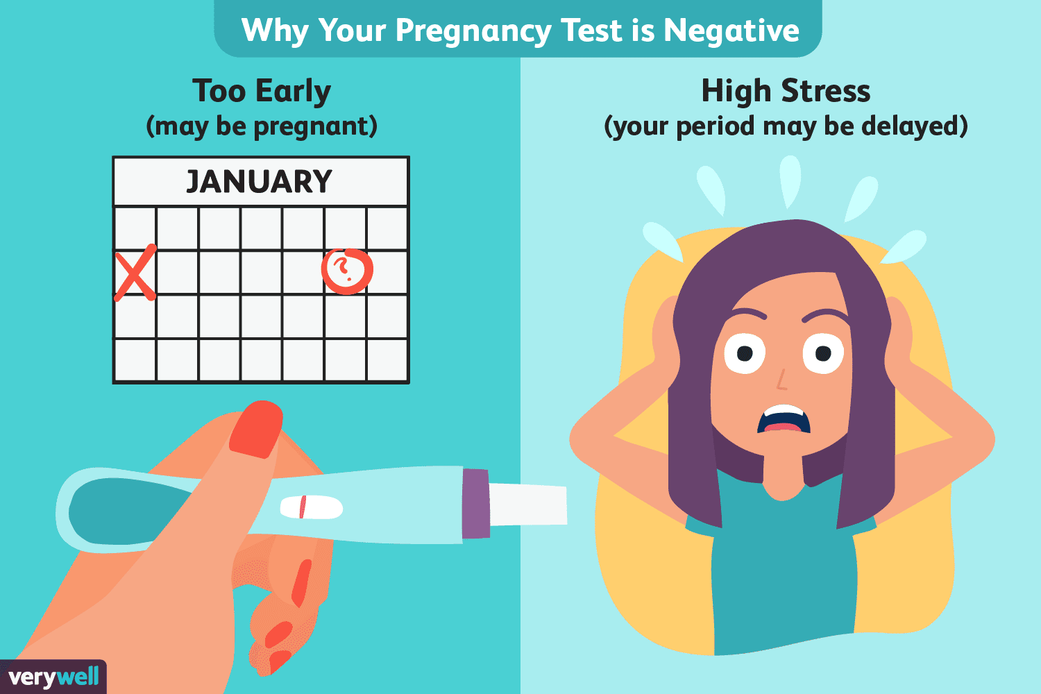 False Negative Pregnancy Test? Missed Period, Negative Pregnancy Test