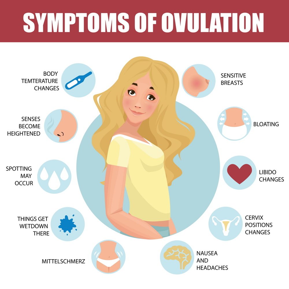 How do i know if i m not ovulating