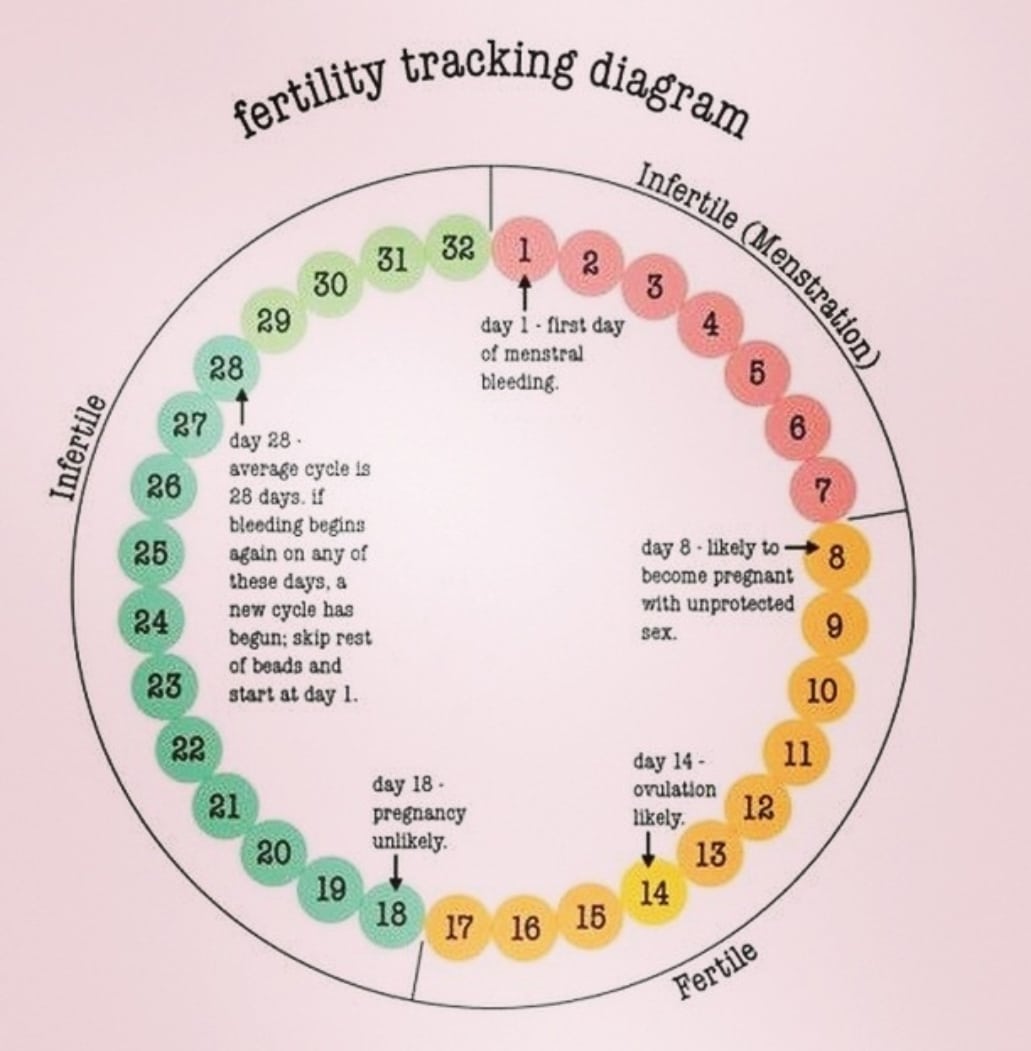 How many of you menstruating humans are aware of your fertility cycle ...