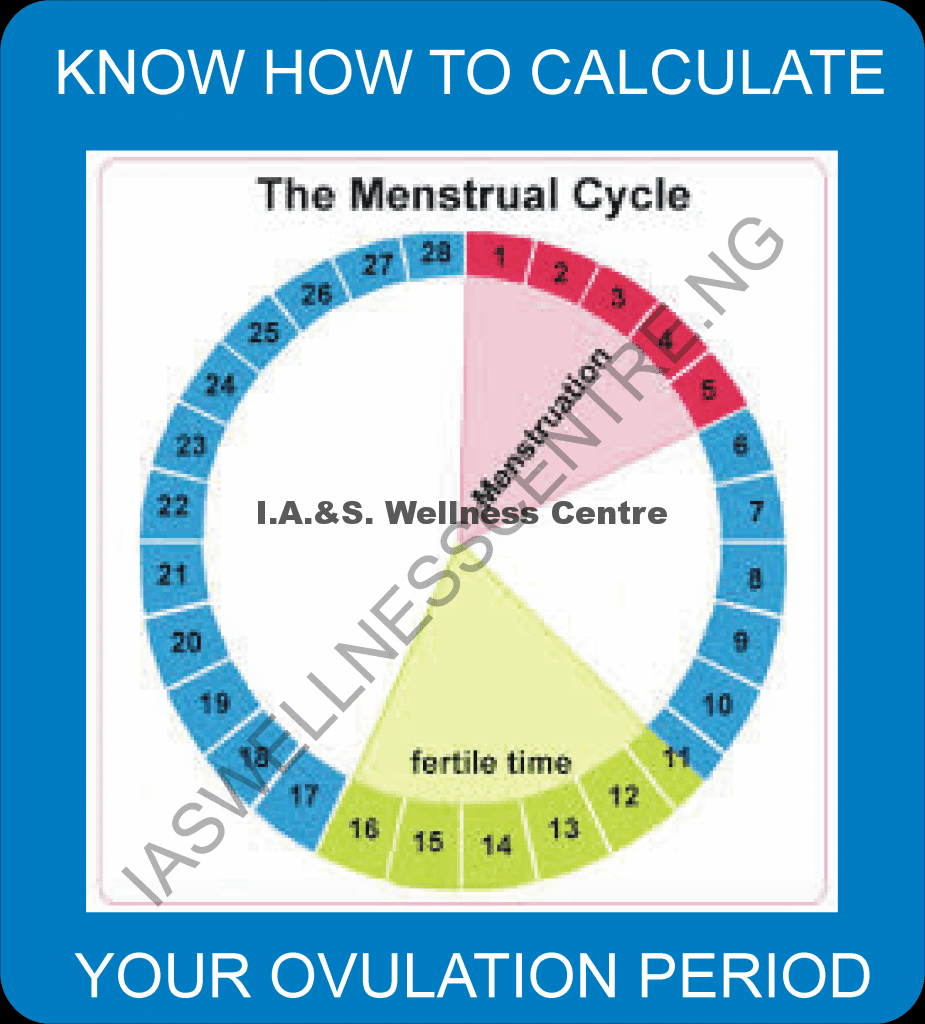 How To Recognize Ovulation Period