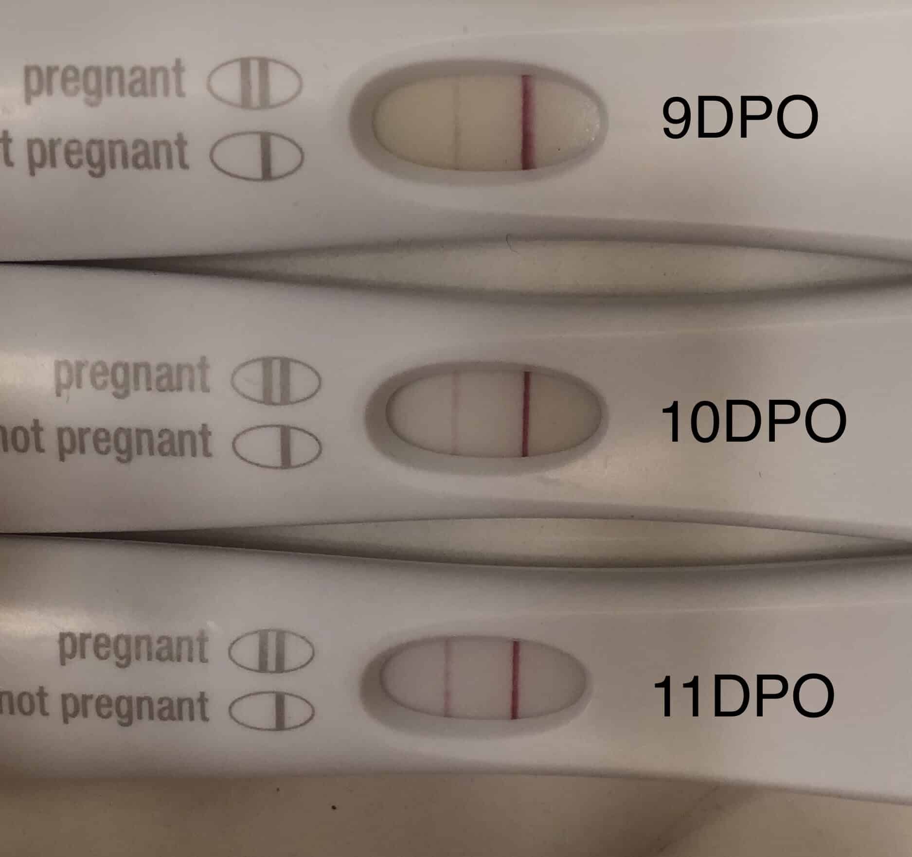 Is Implantation Bleeding Pregnancy Test
