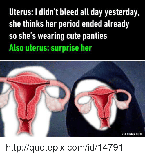 Picture Of Uterus On Period