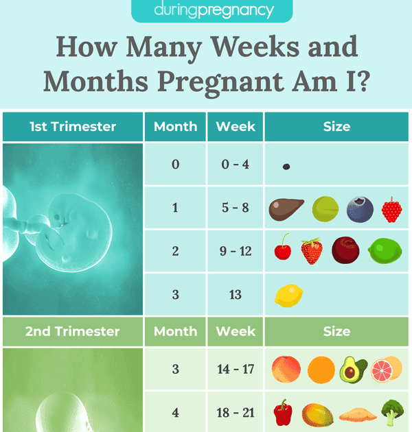 Pregnancy Calculator How Many Weeks Am I Pregnant