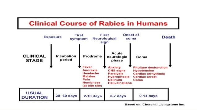 Rabies Lecture (infection)