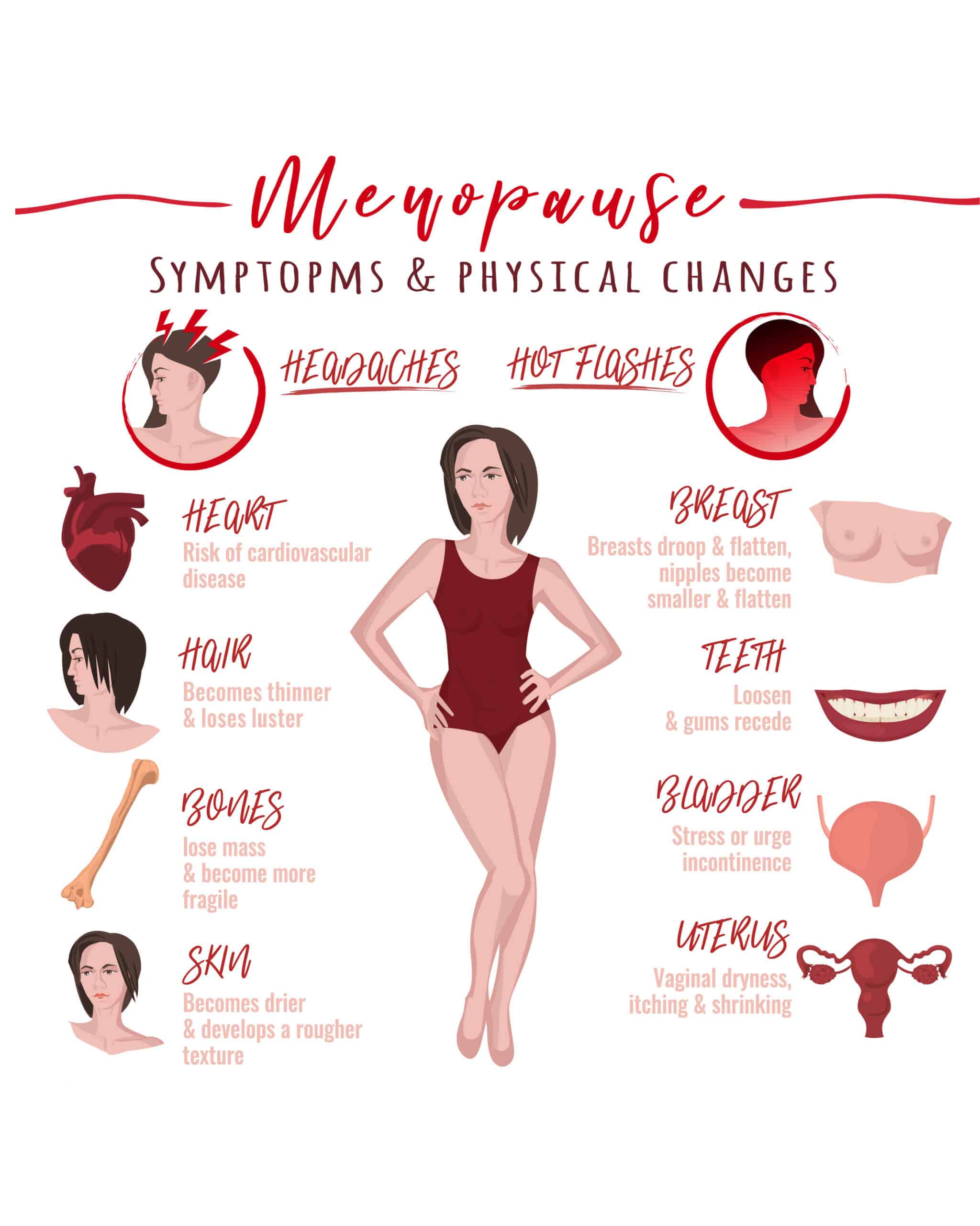 The 3 Stages of Menopause