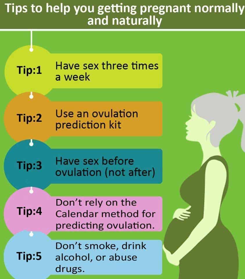 What Can Help You Get Pregnant Faster