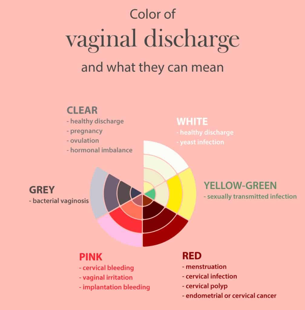 Your Ultimate Guide to Vaginal Hygiene and Care